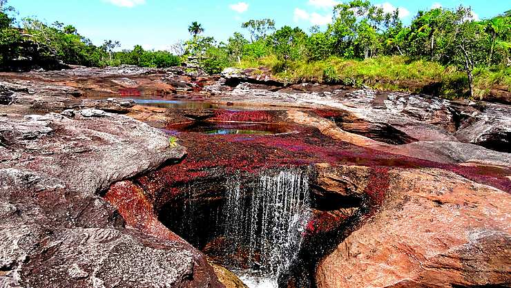 Cano Cristales, Colombie