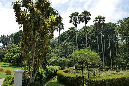 Jardins botaniques de Kandy