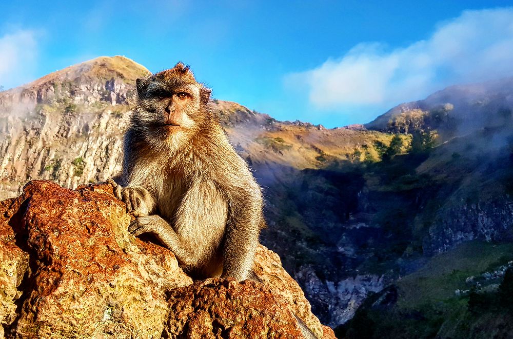 Gardien du Mont Batur, Bali