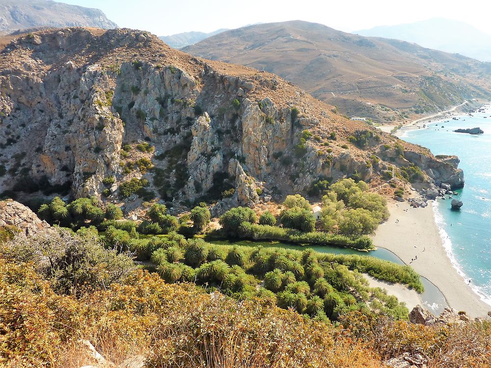 Palmeraie de Preveli en Grèce