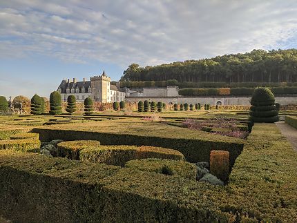 Vision des jardins Château de Villandry