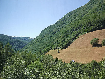 Montagne de Serbie occidentale
