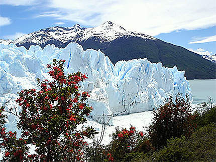 Une vue du glacier Perito Moreno