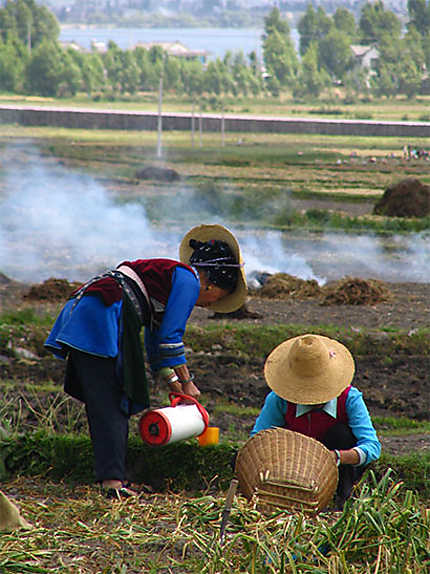 Tea time aux alentours de Dali