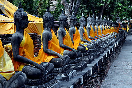 Alignement de bouddhas