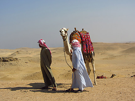 Hommes du désert