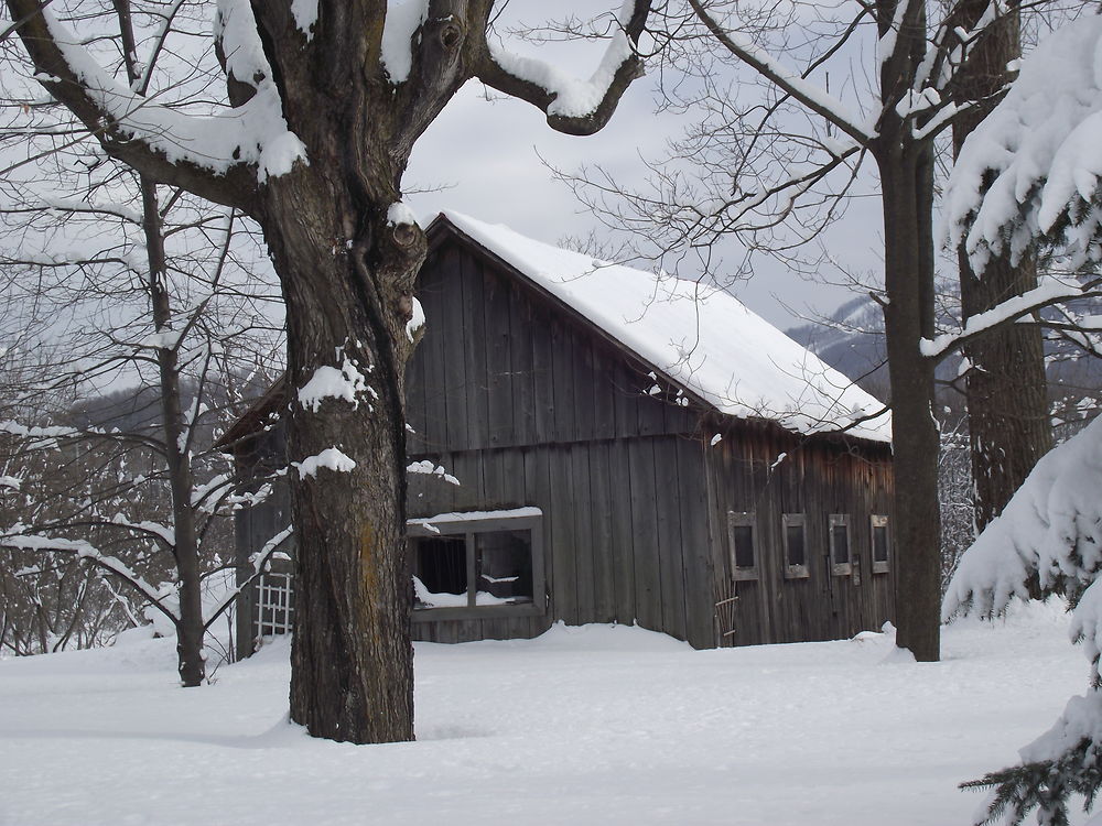 Hiver à Bromont