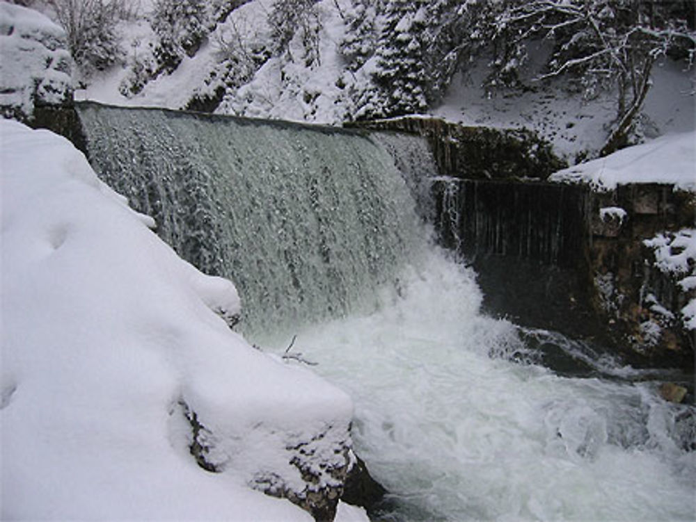 Source du Doubs