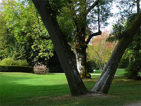 Couleur d'automne Couleur d'automne