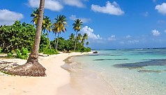 Vol A/R pour la Guadeloupe d&egrave;s 529&euro;