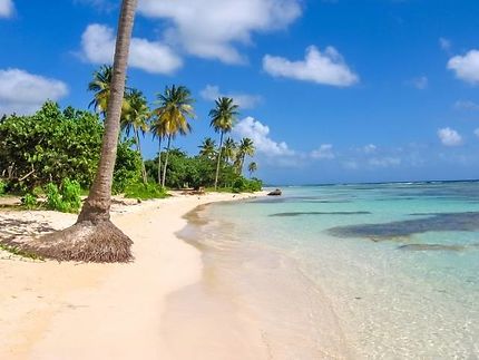 Vol A/R pour la Guadeloupe dès 529€