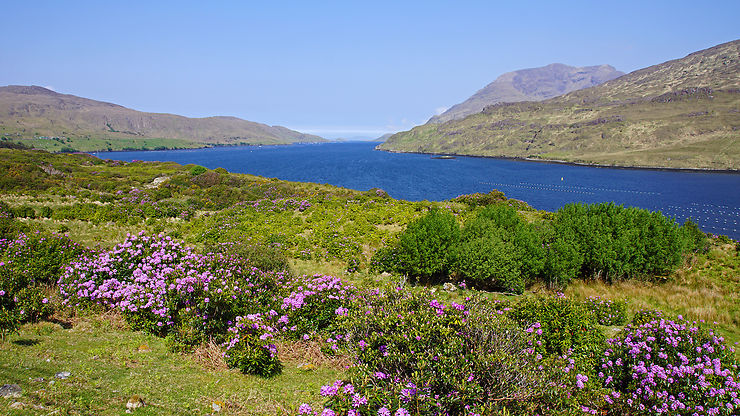 Côte Nord, Inishbofin et Leenane