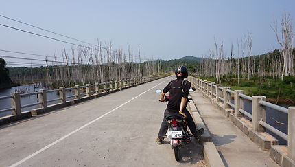 La route aux arbres nus, Thakhek, Laos