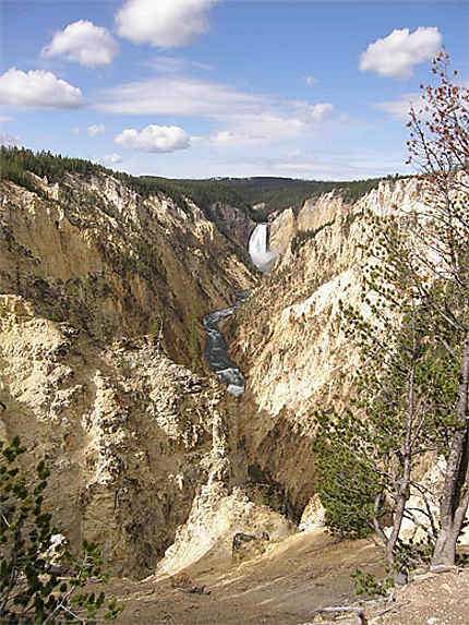 Lower Falls et son canyon