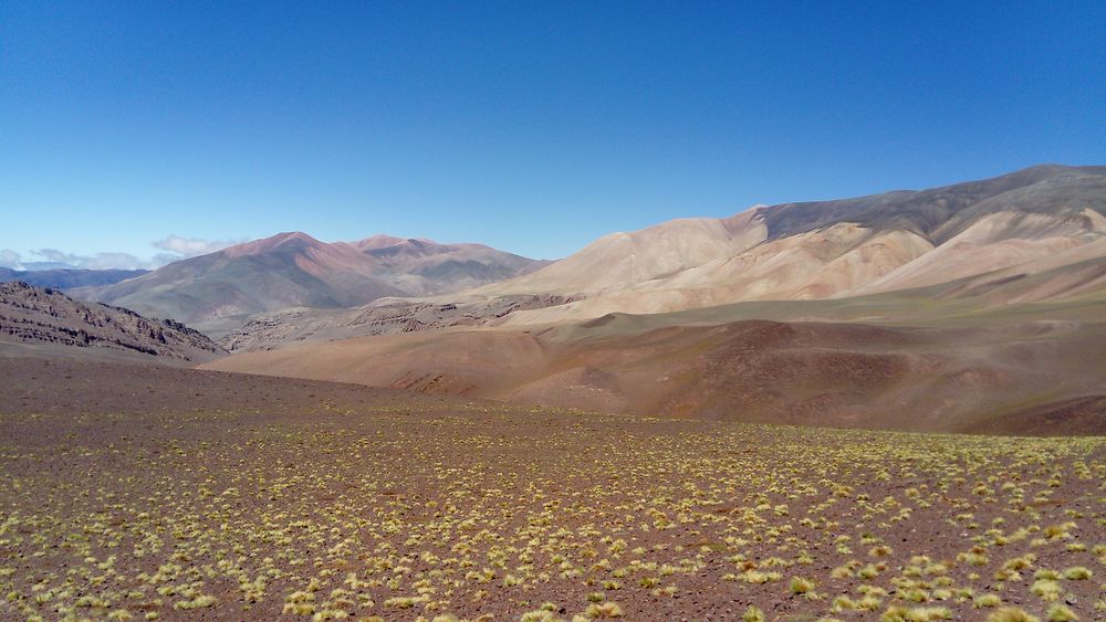 Sur la route de Laguna Brava - La Rioja, Argentina