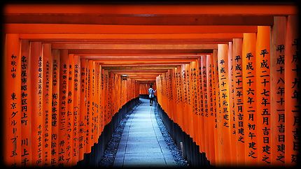 Aube à Fushimi Inari