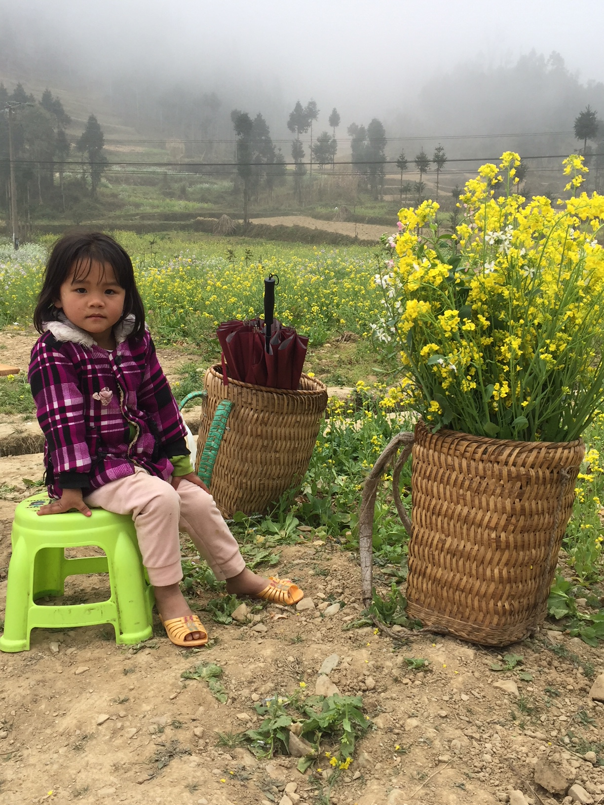 Petite "fleur" vendant des fleurs, Vietnam Petite "fleur" vendant des fleurs, Vietnam