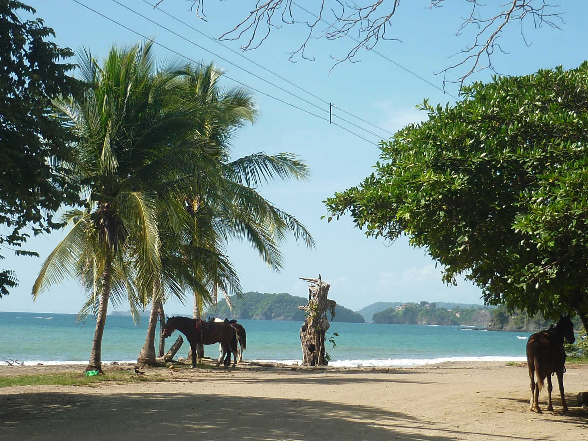 Péninsule de Nicoya Péninsule de Nicoya