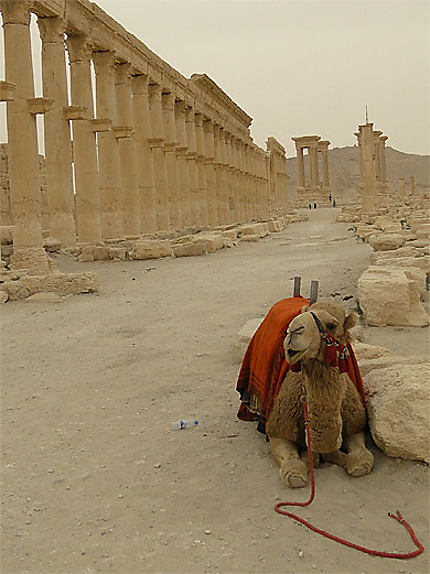 Colonnade et tétrapyle à Palmyre