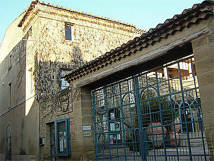 Maison de la terre