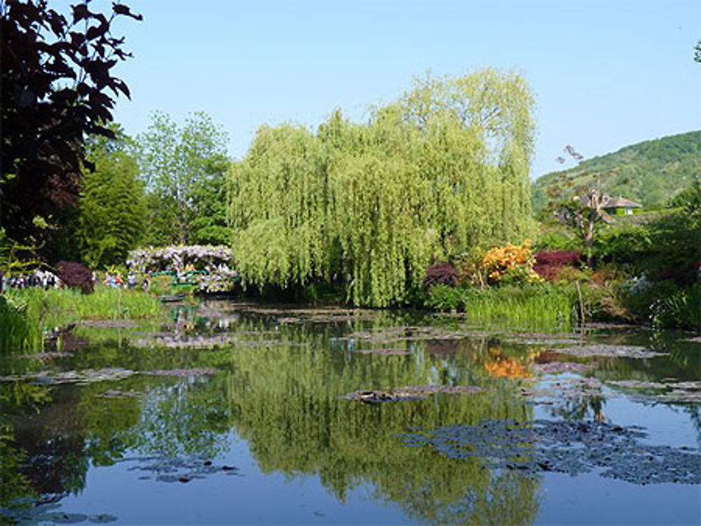 Jardins de Monet - Giverny