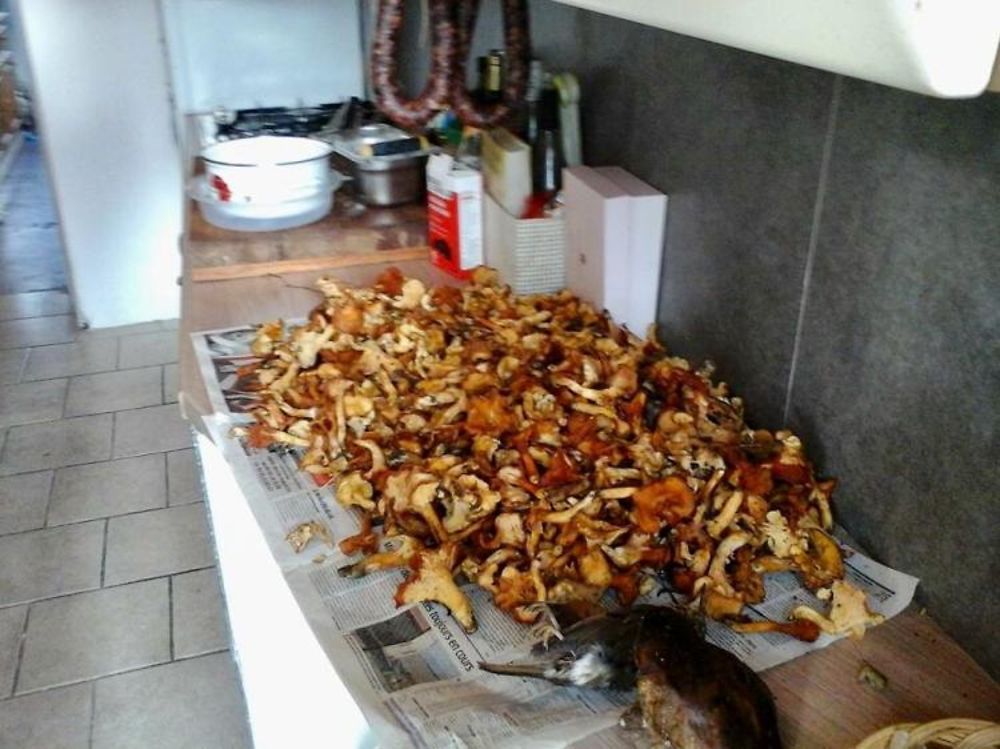 Cèpes