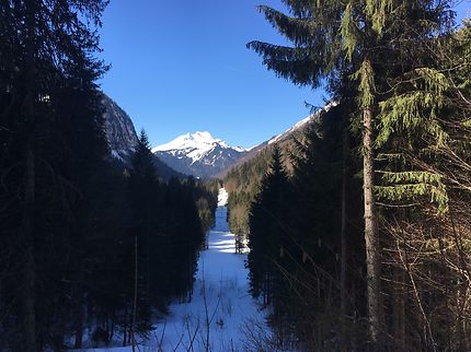 Randonnée au lac de Montriond dans les Alpes