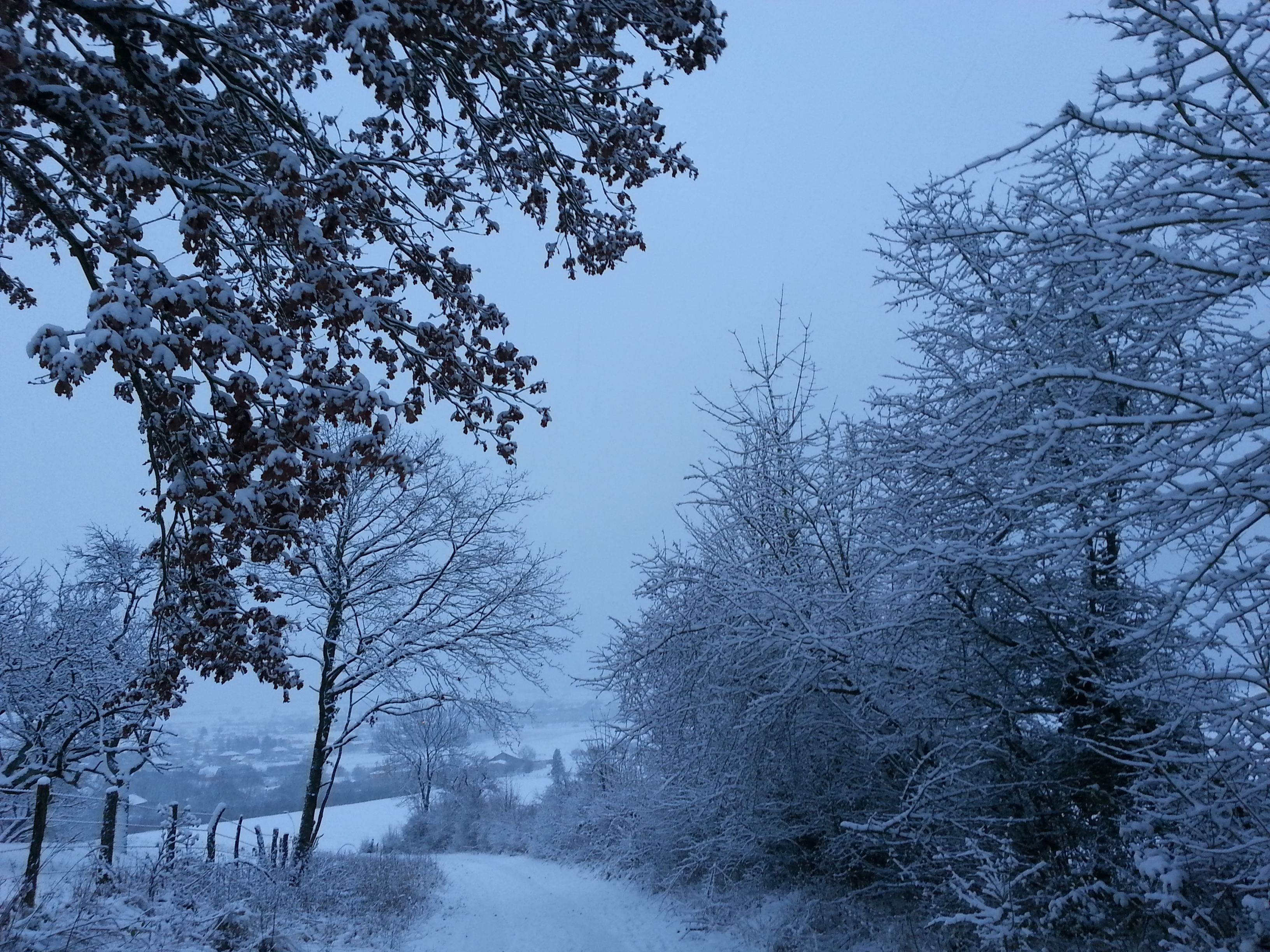Paysage d'hiver à Lunéville