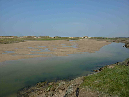 Les dunes du Zwin Les dunes du Zwin