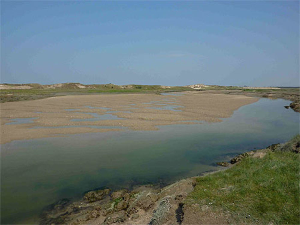 Les dunes du Zwin