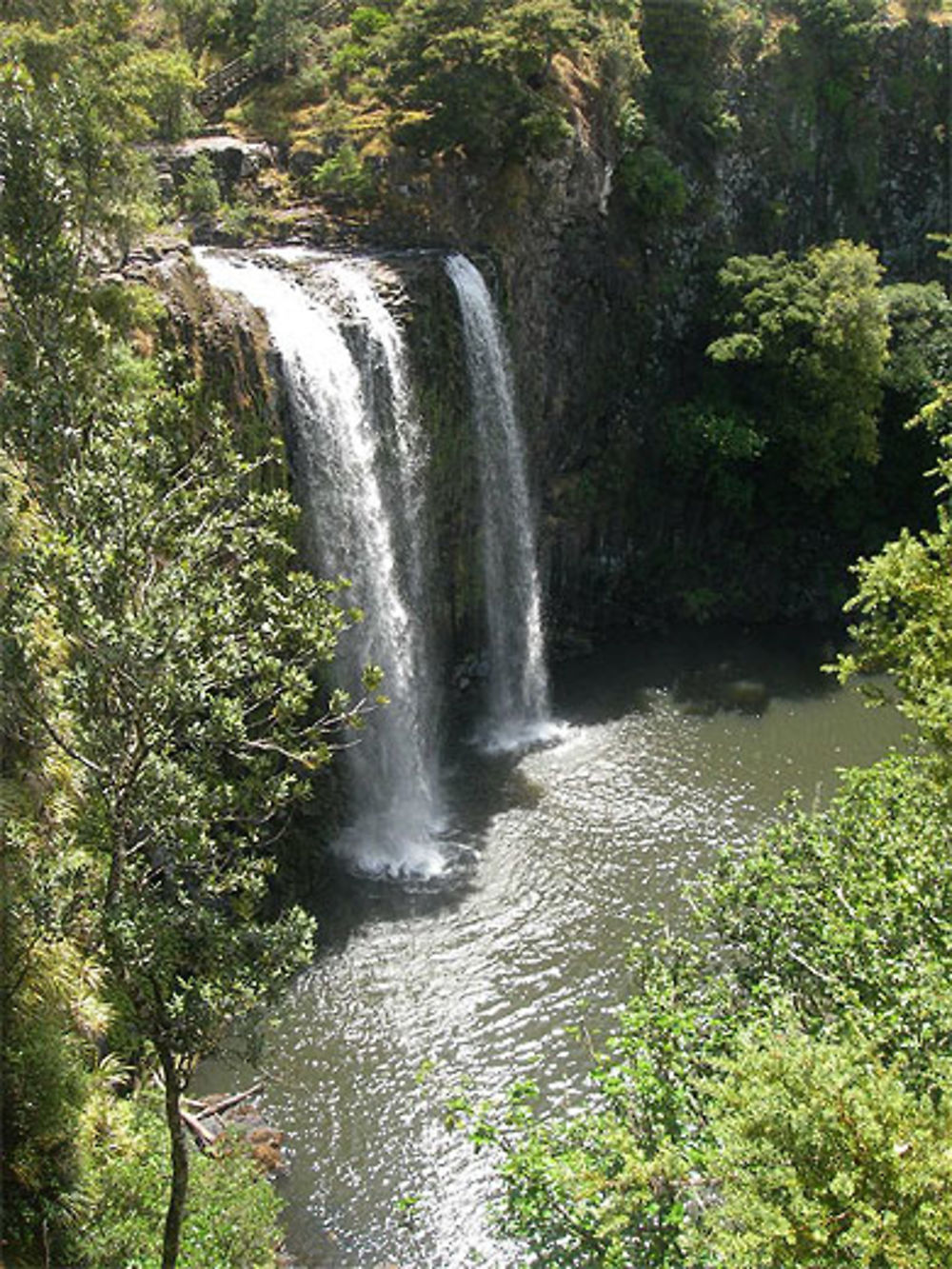 Whangarei falls