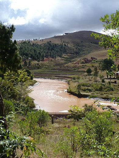 Rivière traversant Lemur's Park