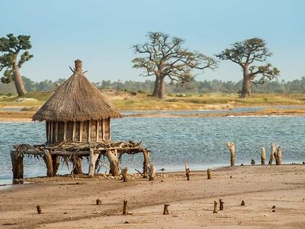Vol A/R pour le Sénégal dès 289€