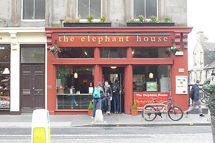 The elephant house