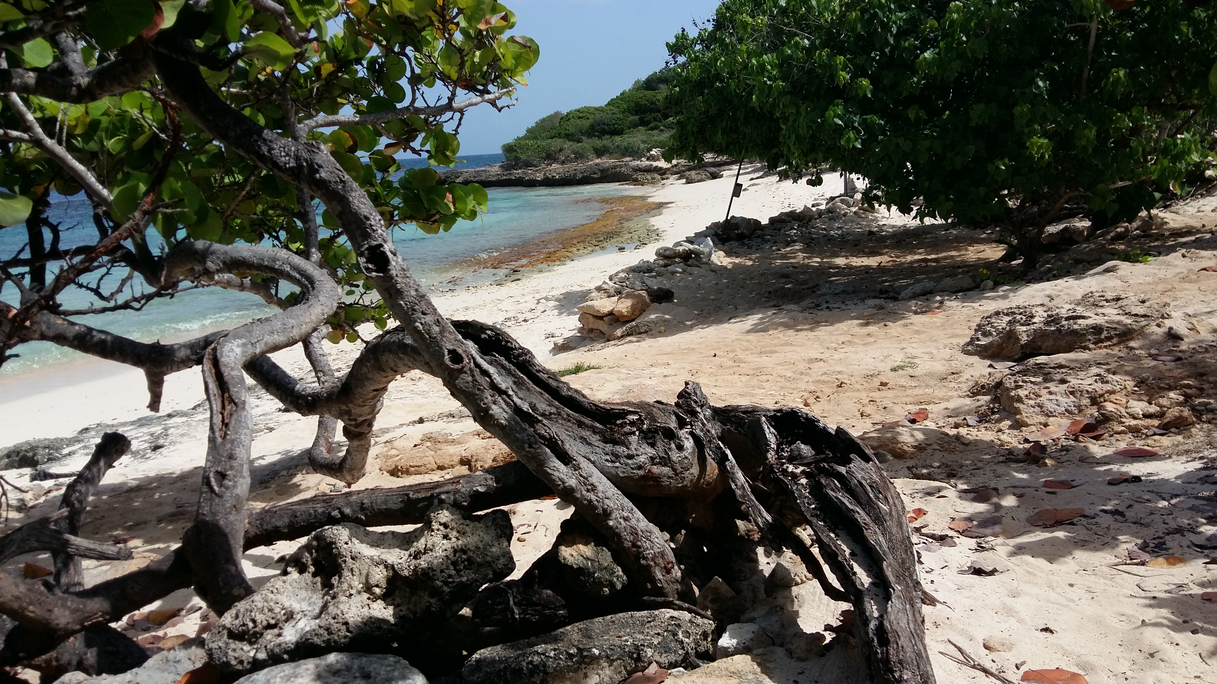 Anse Tarare Anse Tarare