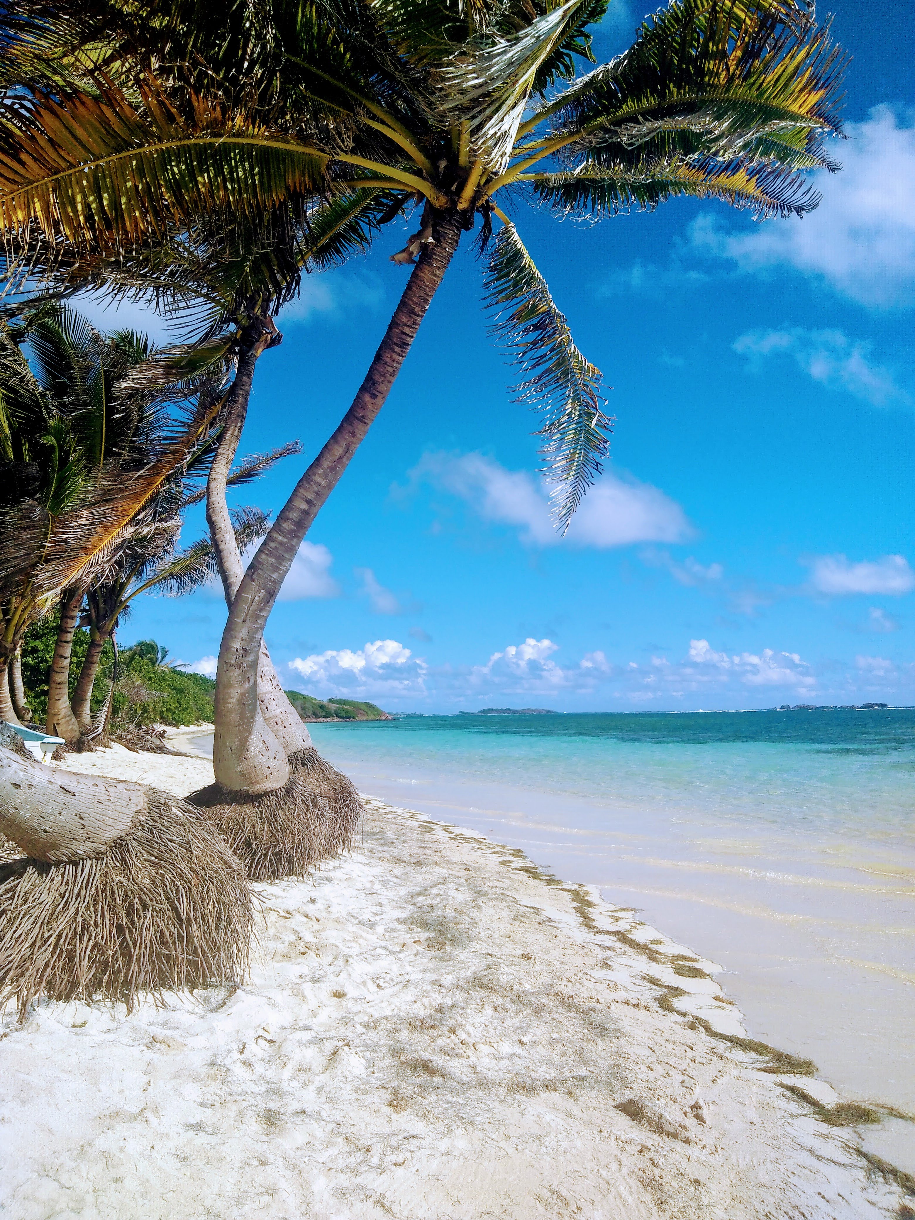 Anse Michel Anse Michel