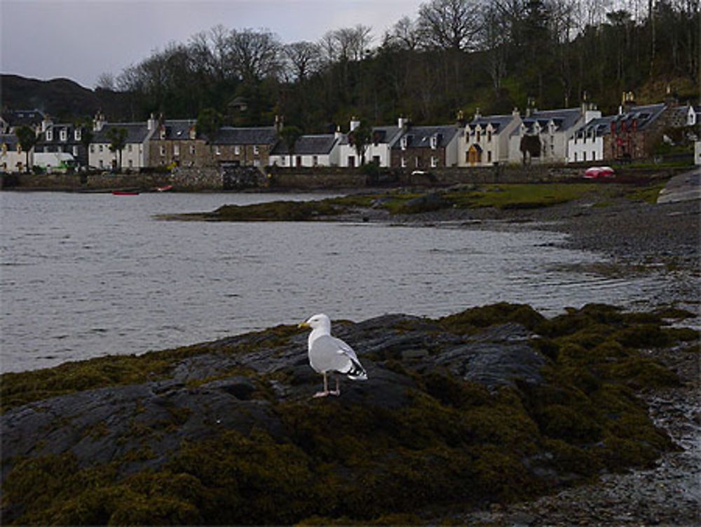 Dans le village de Plockton