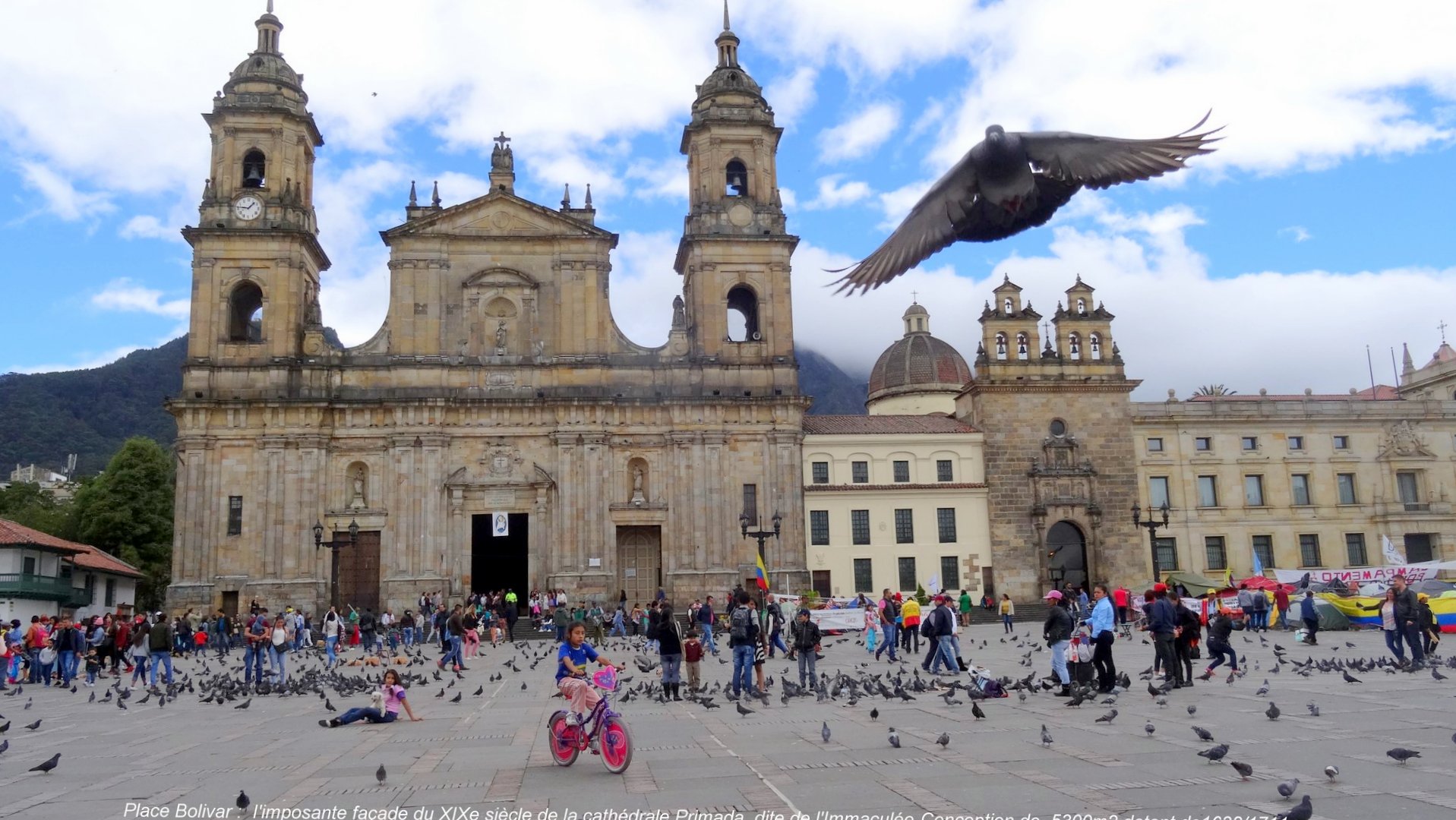 Bogota Bogota