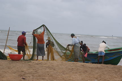 Marché aux poissons au Sri Lanka