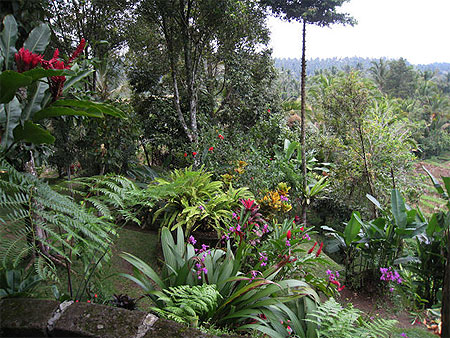 Jardin Jardin