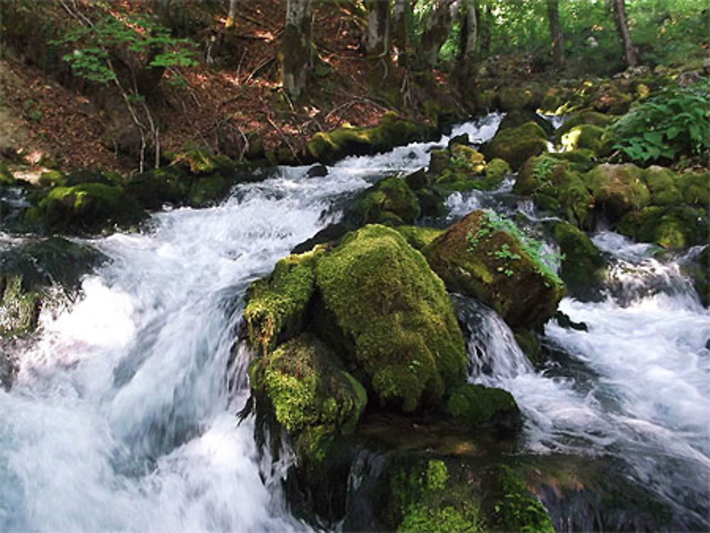 Cascades de la Bistrica