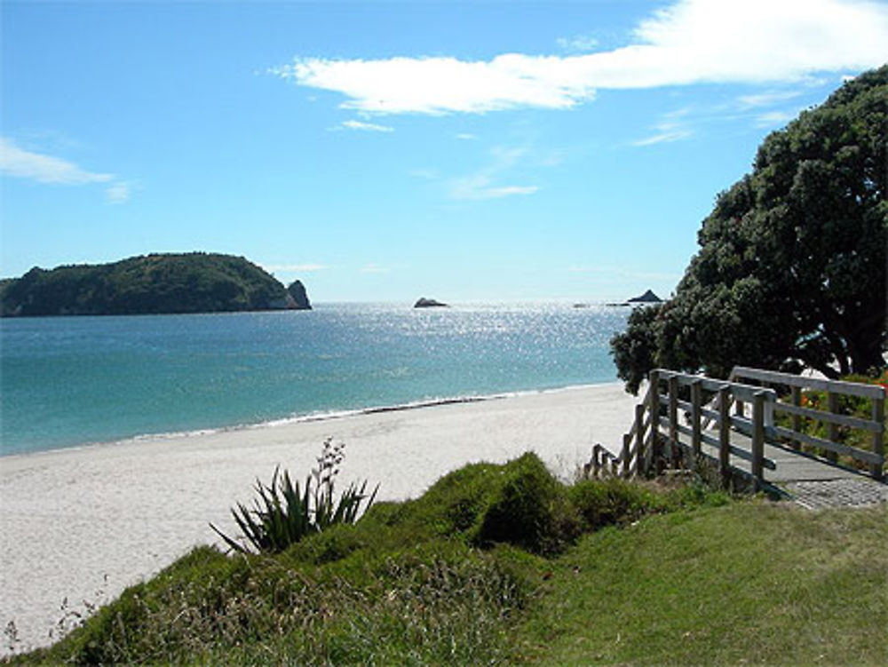 Hahei beach