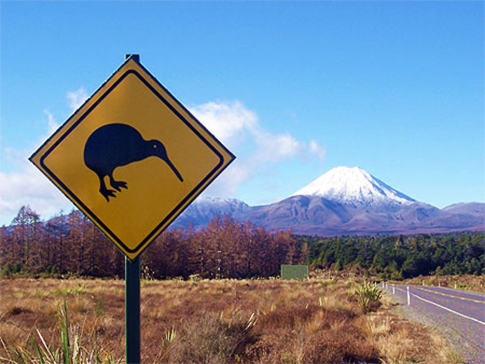 Le Mt Ngauruhoe