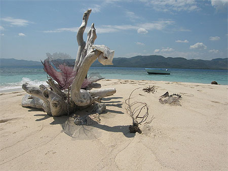 La merveilleuse "Ile du Paradis"