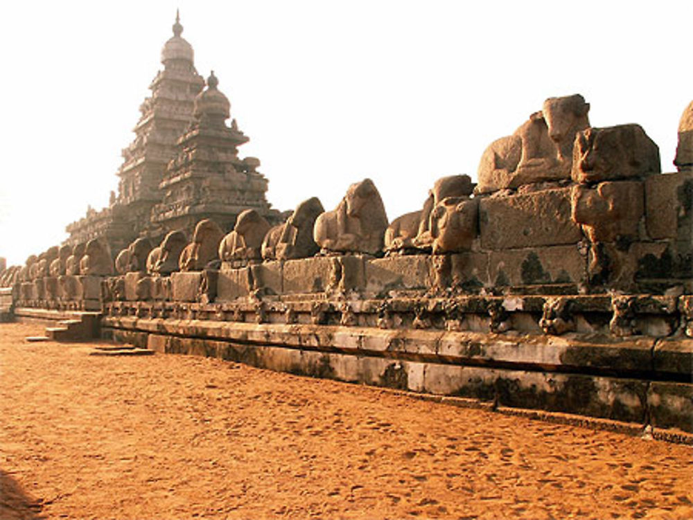 Shore temple