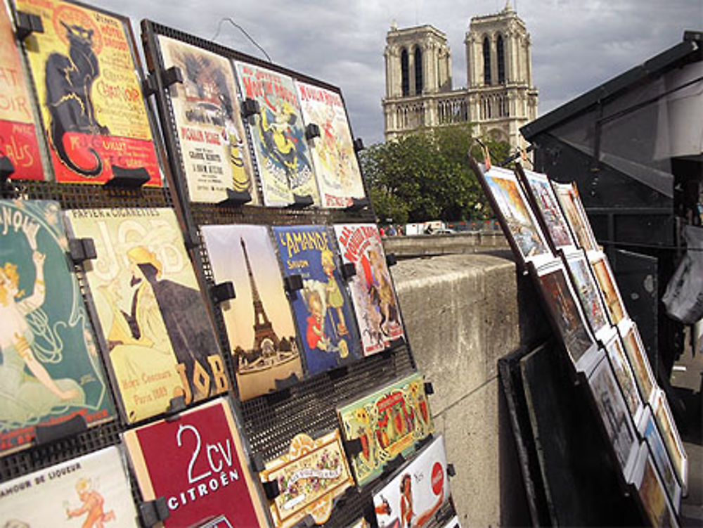 La Cathédrale et les bouquinistes