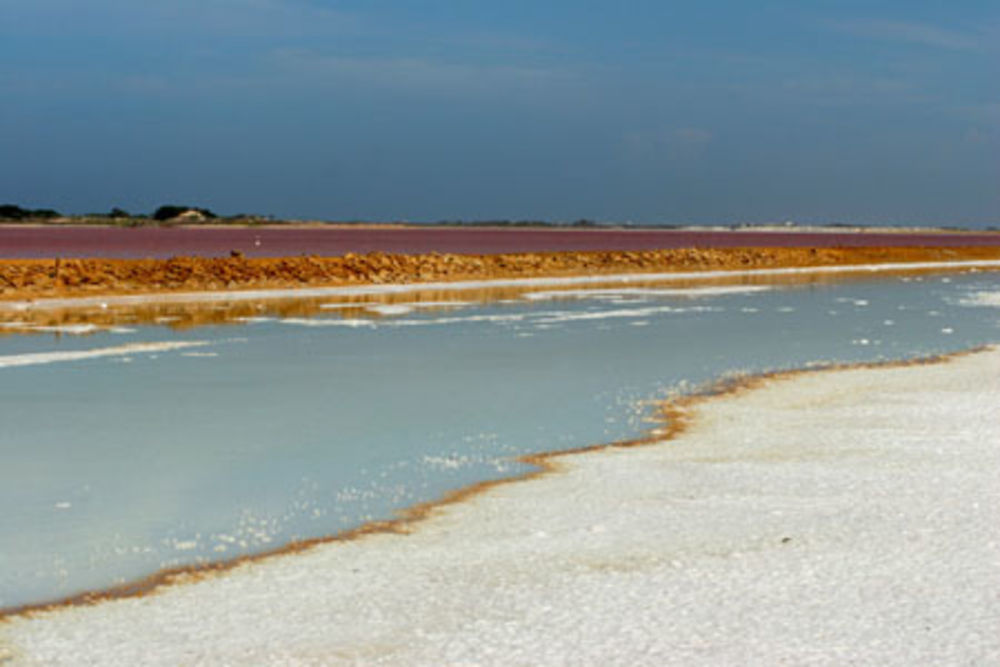 Salina de Bajarigua