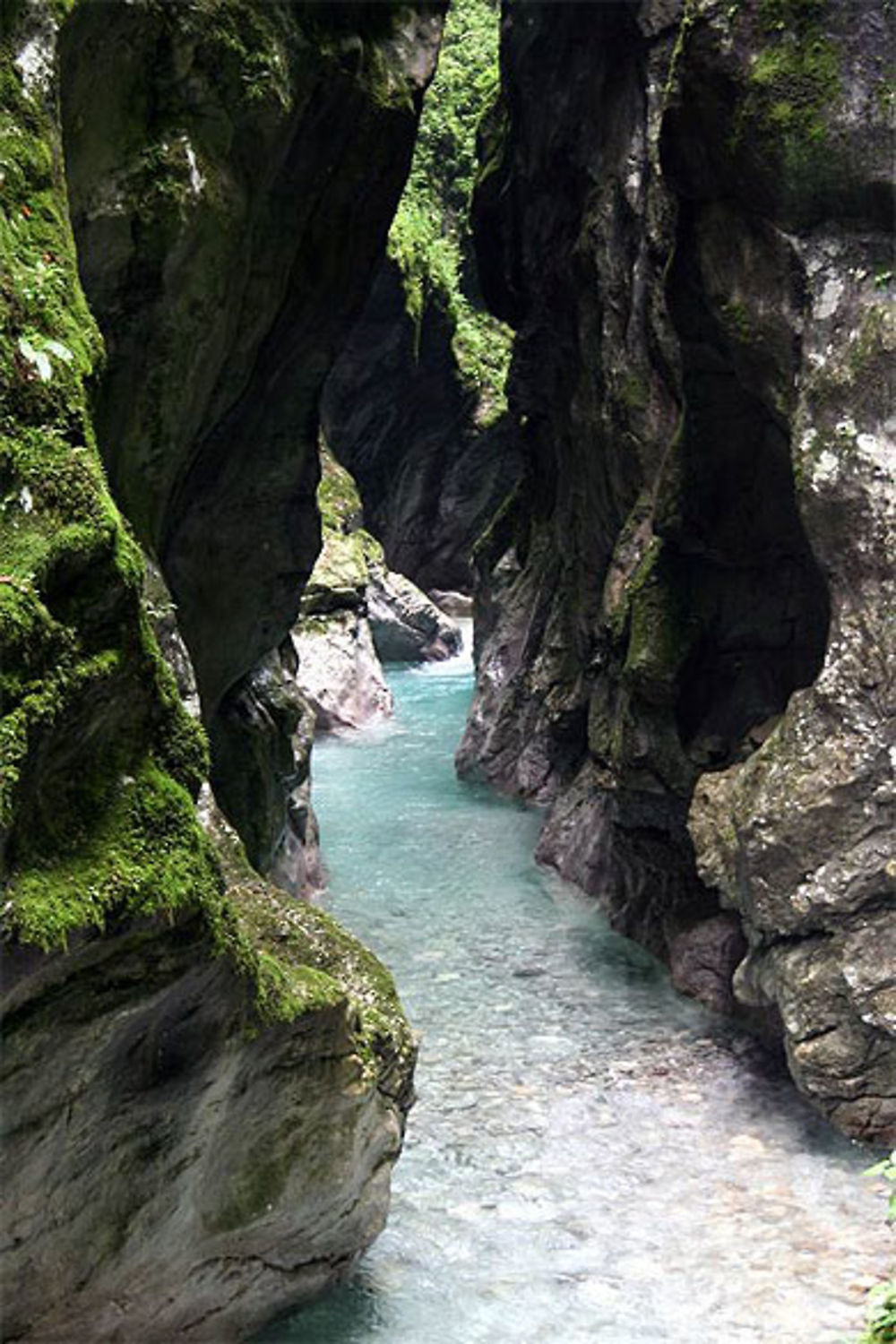 Gorges de la Tolminka