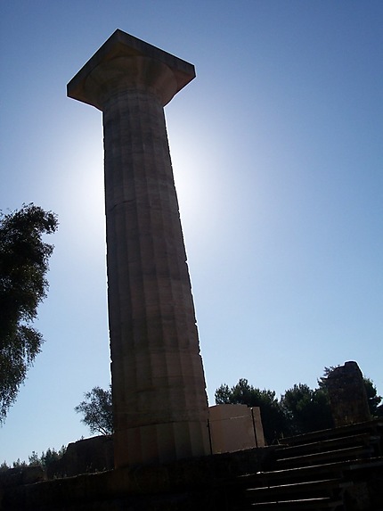 Une des colonnes du site d'Olympia