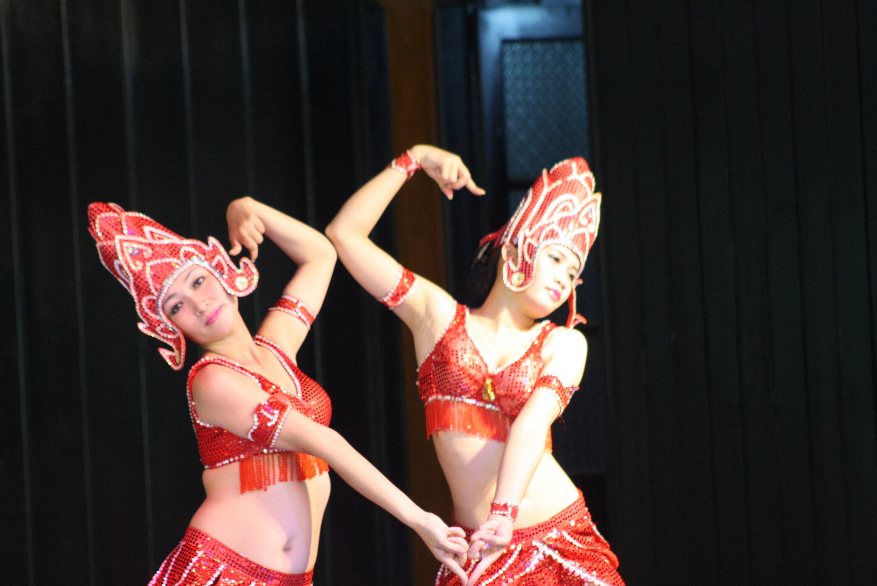 Danse traditionnelle Danse traditionnelle